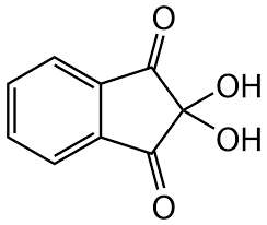 Ninhydrin 100ml