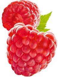Raspberry 8004 Flavour