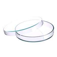 Glass Petri Dish