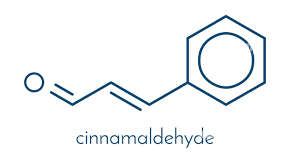 Cinnamaldehyde CP 100g