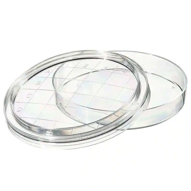 Contact Plates 55mm 300/Pack