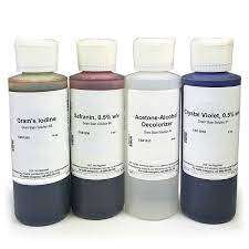 Gram Stain Set (4x250ml)