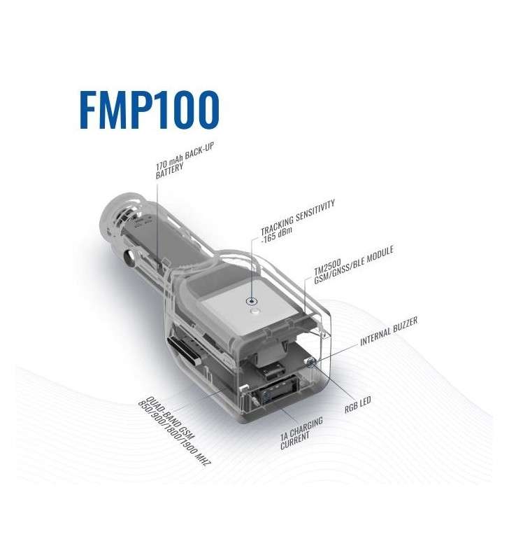 Teltonika FMP100