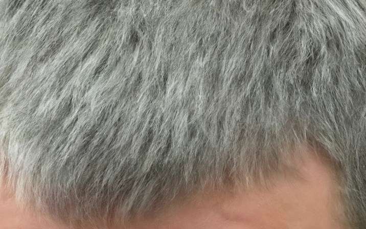 Gray Reverse Bar