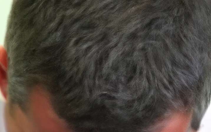 Gray Reverse Bar