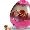 Interactive Slow Feeder Dog Toy