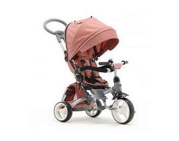 Baobab Trees Talent Ride Explorer - Travel Trike