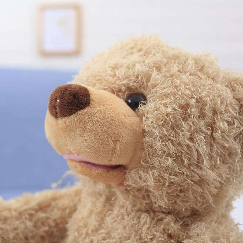 Peek A Boo Interactive Teddy Bear