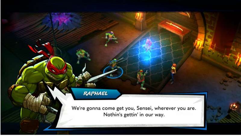 Teenage Mutant Ninja Turtles Splintered Fate - Deluxe Edition (NS)