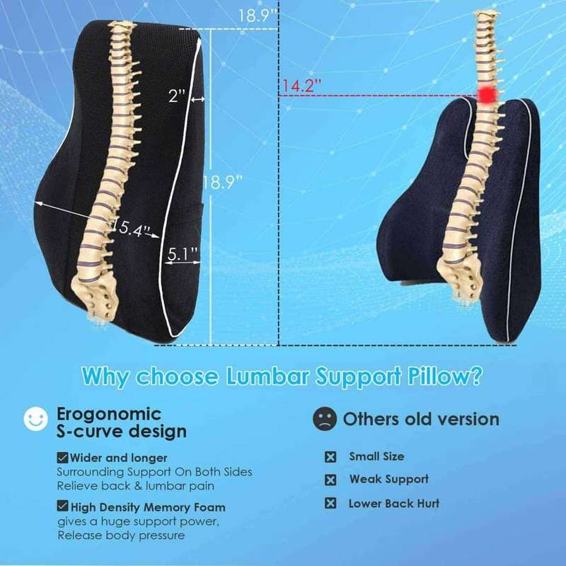 Home Office Chair Car Memory Foam Lumbar Back Support Cushion