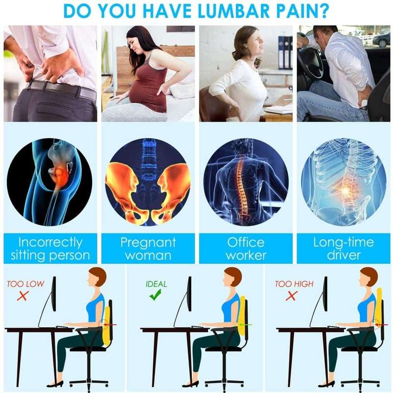 Home Office Chair Car Memory Foam Lumbar Back Support Cushion