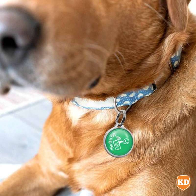 NFC Lost Pet Tag- Tap to WhatsApp
