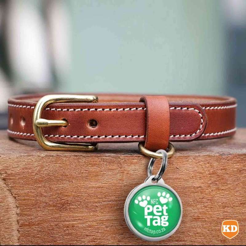 NFC Lost Pet Tag- Tap to WhatsApp