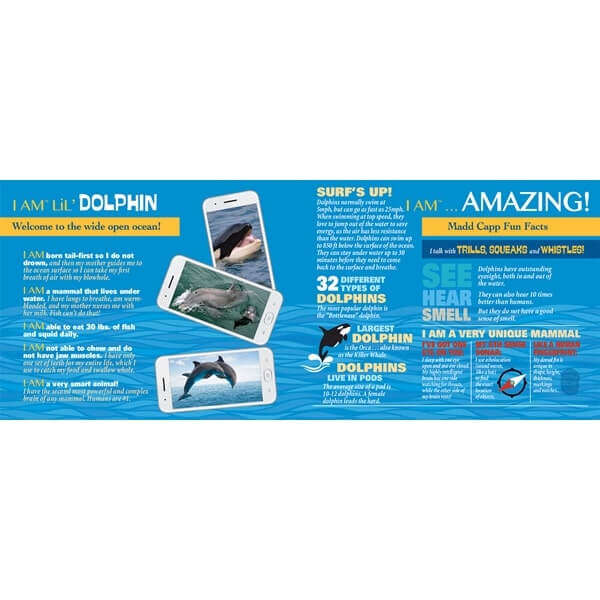 I am Lil Dolphin Jigsaw Puzzle 100pc MADD CAPP