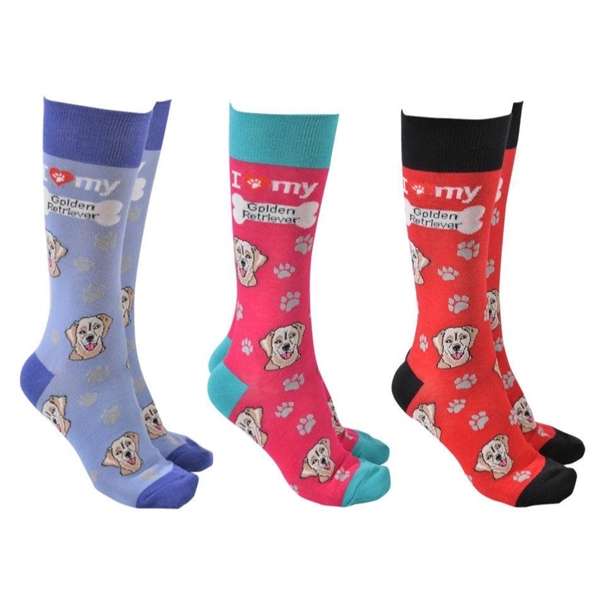 Dog Society Golden Retriever Pack of 3