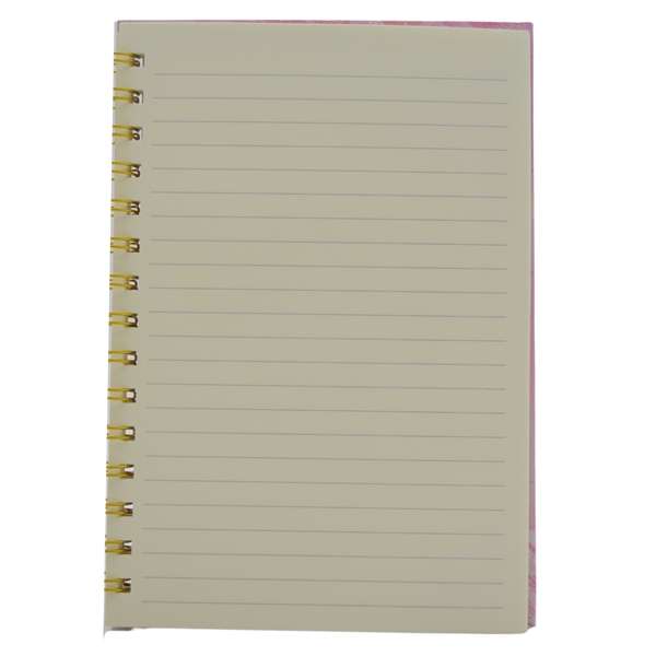 Fidget Pop It Notebook - Car