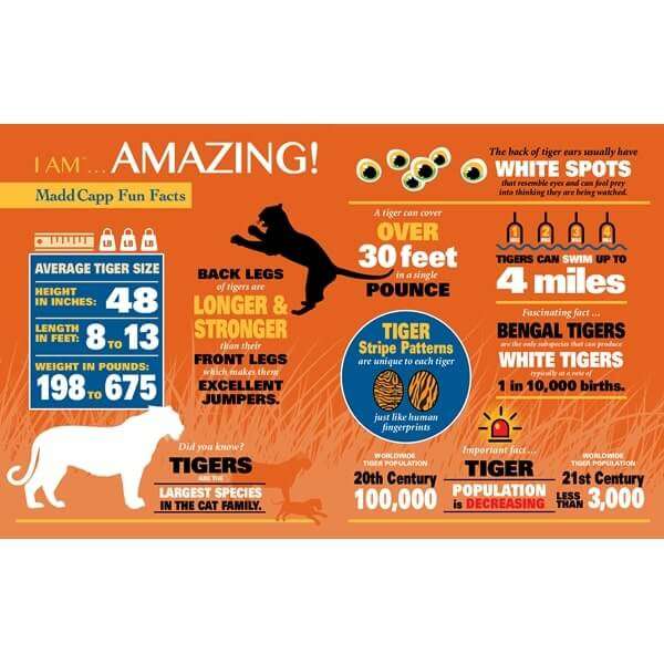 MADD CAPPI am Tiger Jigsaw Puzzle 550pc