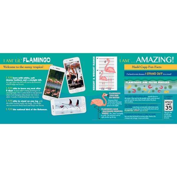 I am Lil Flamingo Jigsaw Puzzle 100pc MADD CAPP