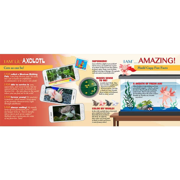 MADD CAPP I Am Lil Axolotl Puzzle 100Pc