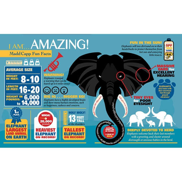 MADD CAPP I Am Elephant Puzzle 24Pc