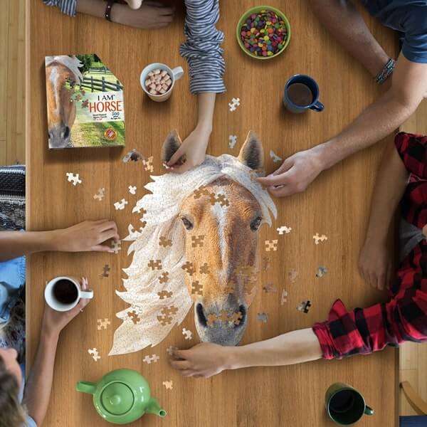 I am Horse Jigsaw Puzzle 300pc MADD CAPP