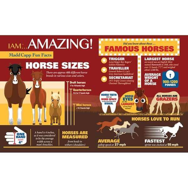 I am Horse Jigsaw Puzzle 300pc MADD CAPP