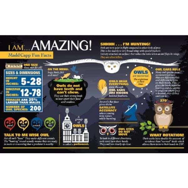 Madd Capp Puzzle 300pc I Am Owl
