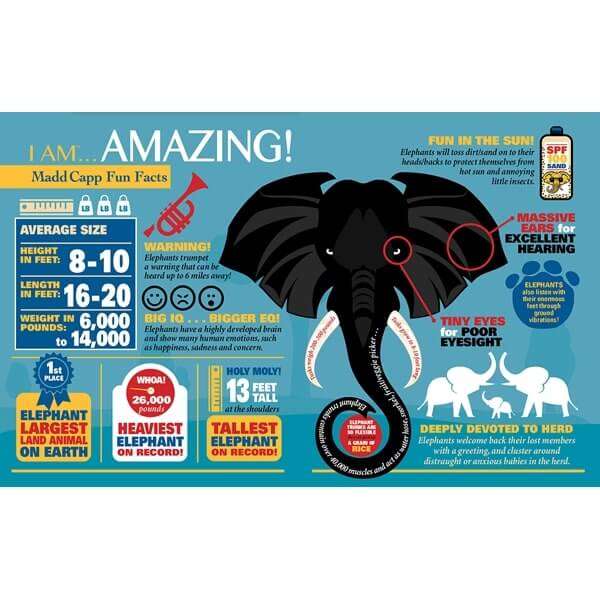 I am Elephant Jigsaw Puzzle 300pc by MADD CAPP