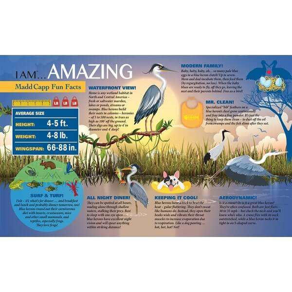 I am Blue Heron Jigsaw Puzzle 300pc MADD CAPP