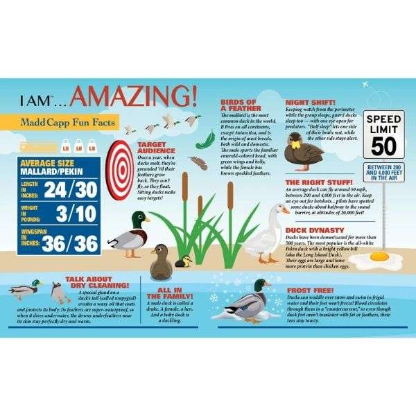 Madd Capp Puzzle 1000pc I Am Duck