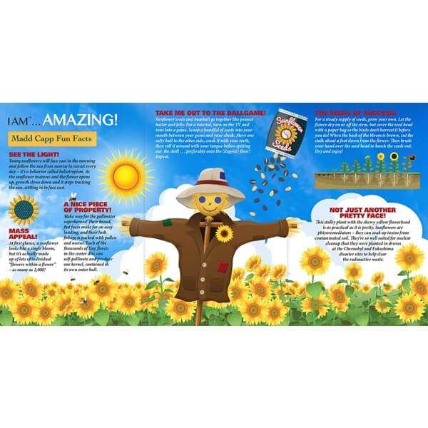 MADD CAPP I am Sunflower Jigsaw Puzzle 350pc