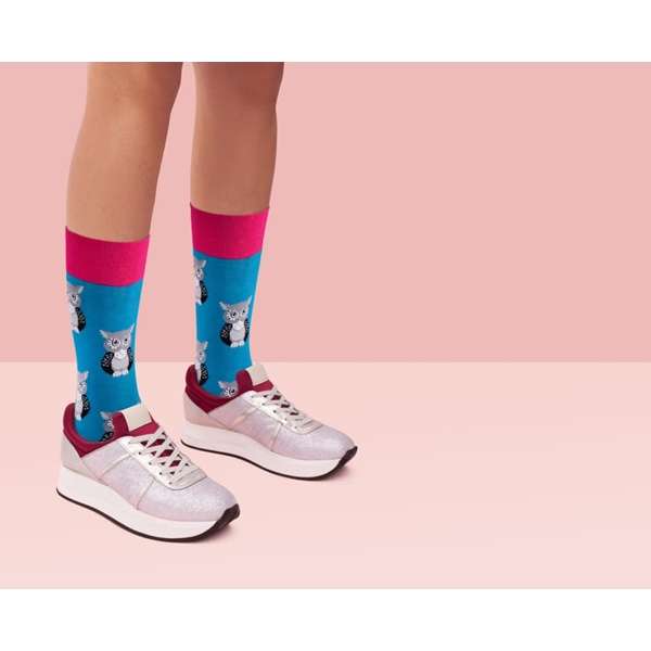 Sock Society Owl Pack of 3