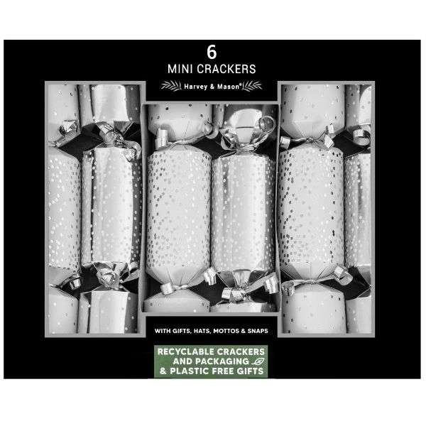 Christmas Crackers Mini 6 Silver Scatter