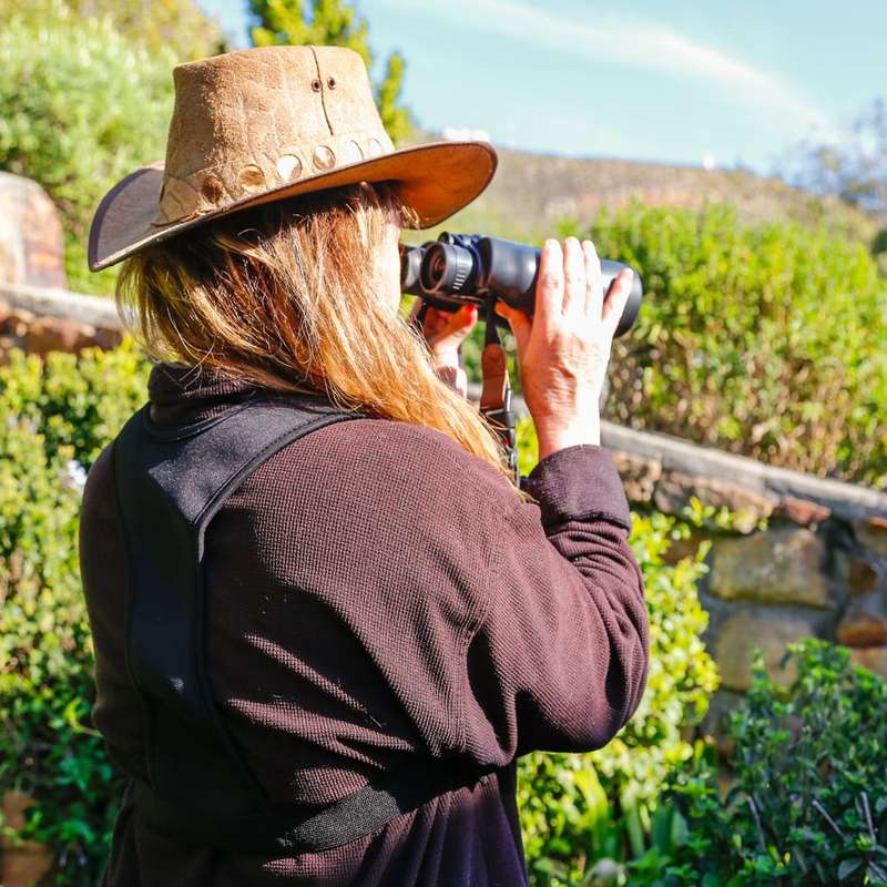 Action Mounts Bird Watching Hiking Photography Binocular Harness Belt Strap