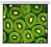 Esquire Electric Projector Screen 300 X 169