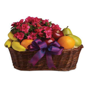 Fruit and Blooms