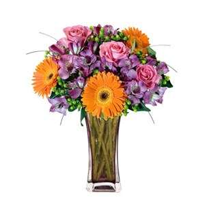 Magical Mix Gift