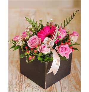 HOC Black Box Arrangement