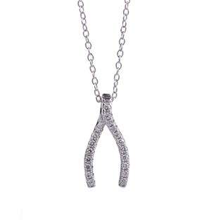 Silver Wishbone Necklace