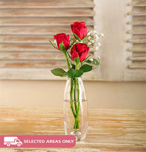 1 Red Roses in a Glass Vase