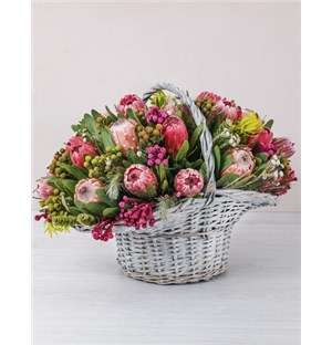 Mixed Proteas in a Large Basket