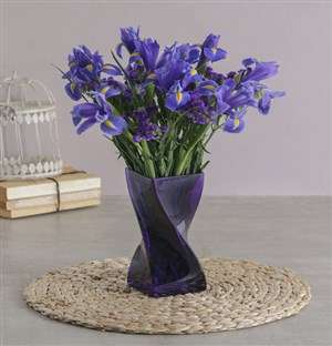 Blue Irises in a Purple Twisty Vase