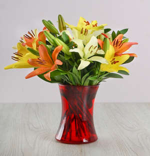 Mixed Asiflorum Lilies in Red Cylinder Vase