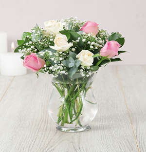 Delightful Roses