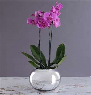 Mothers Day Pink Orchid In Silver Ball
