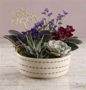 African Violet In Love Hearts Bowl