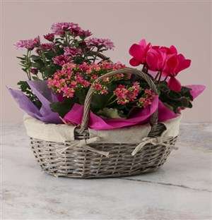 Shades of Pink Mothers Day Basket