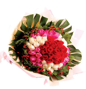 Roses from Romeo