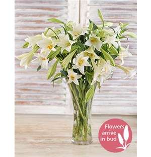 Elegant White Lilies in Vase
