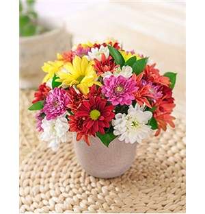 MYNETSP370-4 Mixed Daisies in a Pottery Vase